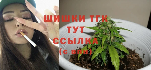 ALPHA-PVP Новозыбков