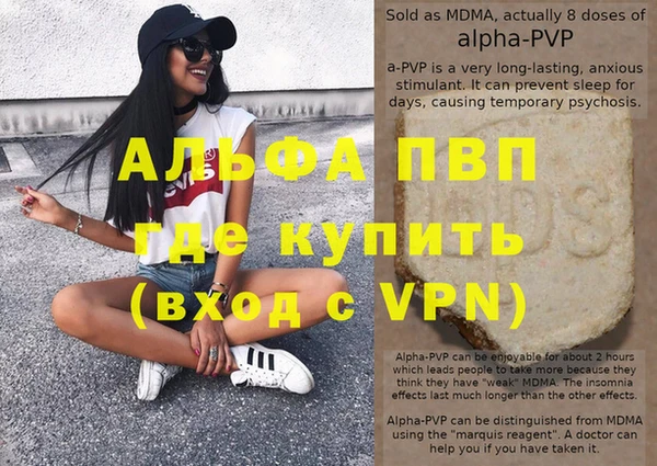 индика Новодвинск