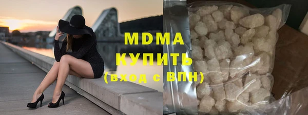 индика Новодвинск