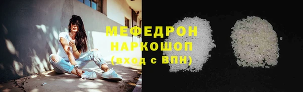индика Новодвинск