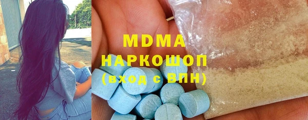 индика Новодвинск