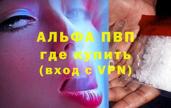ALPHA-PVP Новозыбков