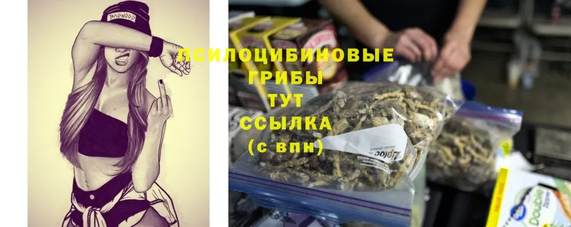 Галлюциногенные грибы MAGIC MUSHROOMS  Рославль 