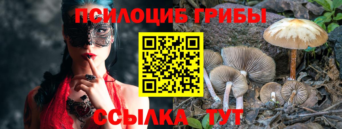 Псилоцибиновые грибы ЛСД  Псилоцибиновые грибы GOLDEN TEACHER  Вход с VPN  Рославль 
