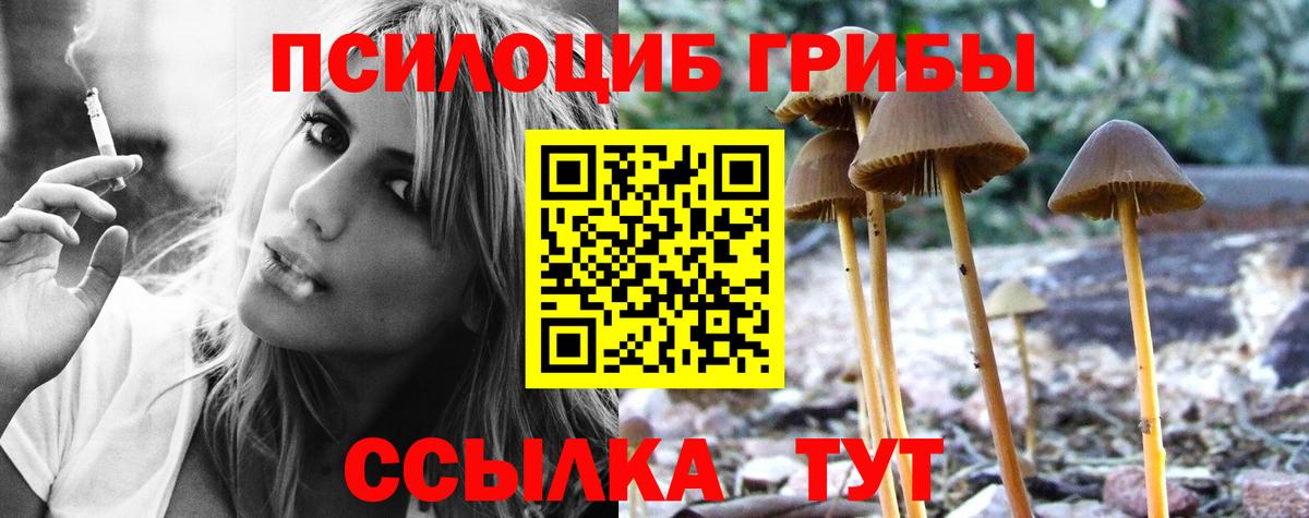 Псилоцибиновые грибы Magic Shrooms Рославль